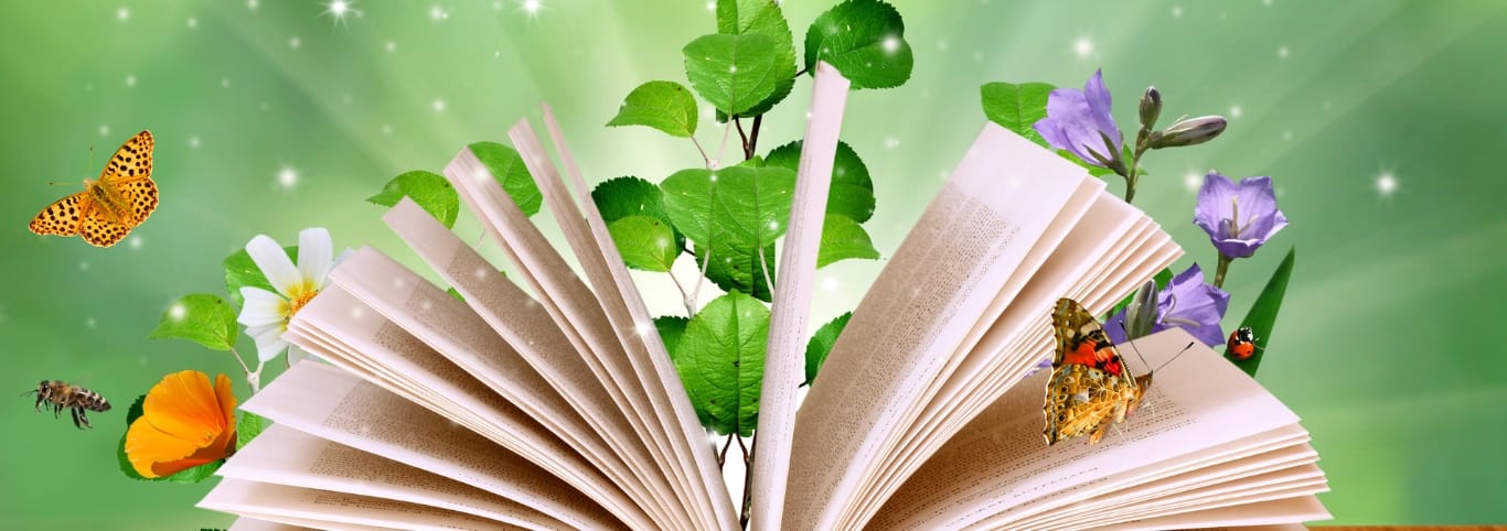 Blog top 10 duurzame kinderboeken Nederland Doet Groen