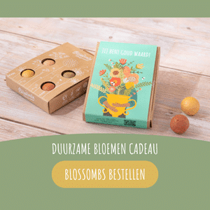 Blossombs Banner 01
