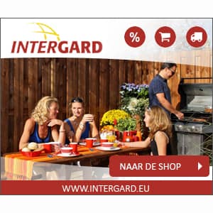Intergard Banner 01