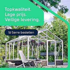 Bloomcabin Banner 01