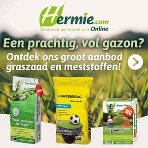 Hermie Banner 01