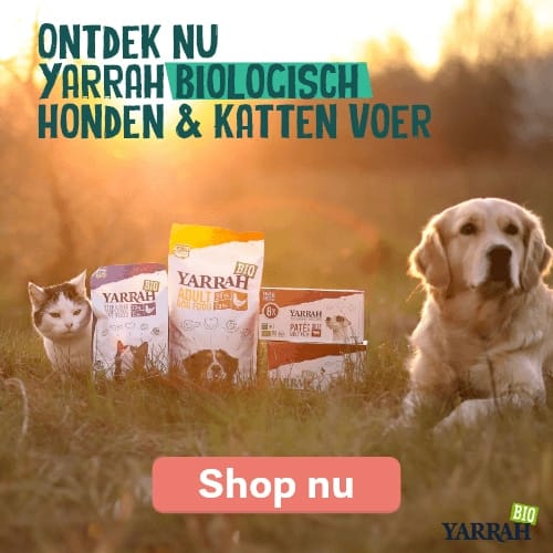 Yarrah Banner 01