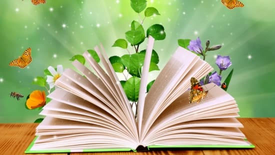 Blog top 10 duurzame kinderboeken