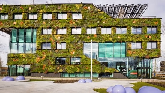 Onderwijs H6 Gebouw en bedrijfsvoering blurp